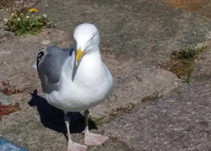 Vakantiehuis At The Park 1 *